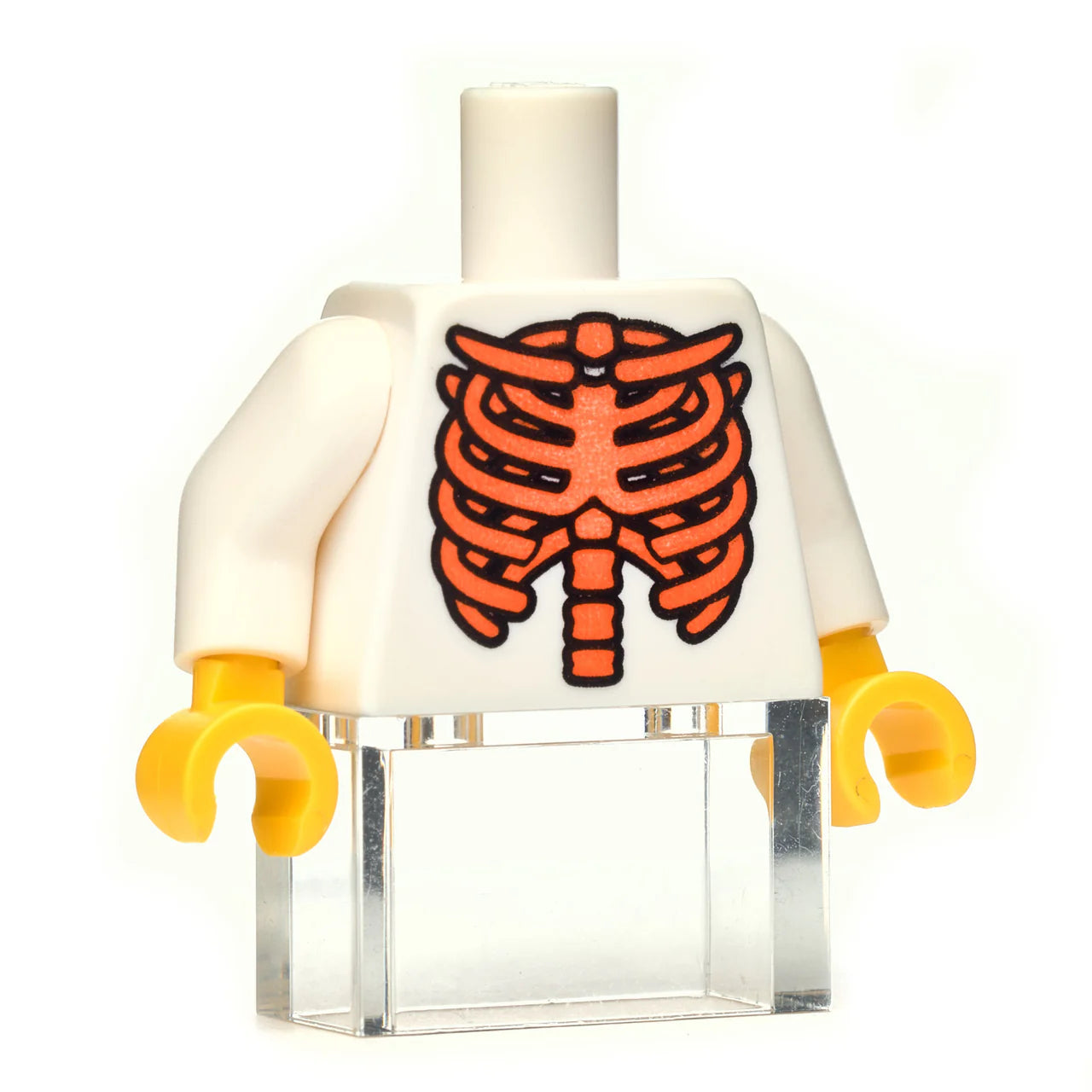 Skeleton Torso