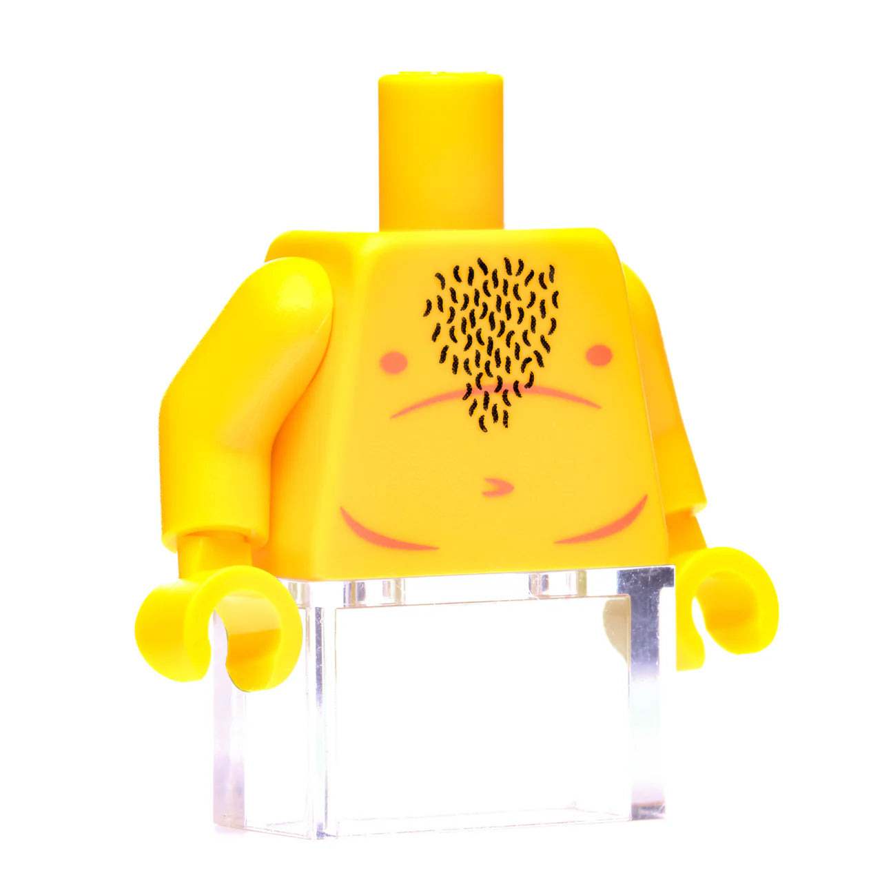 Dad Bod Torso